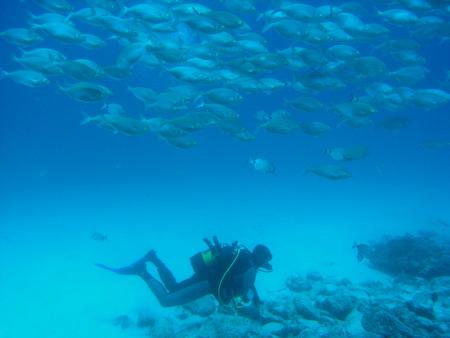 Dive Center Corralejo (Miguel Abella),Corralejo,Fuerteventura,Kanarische Inseln,Spanien