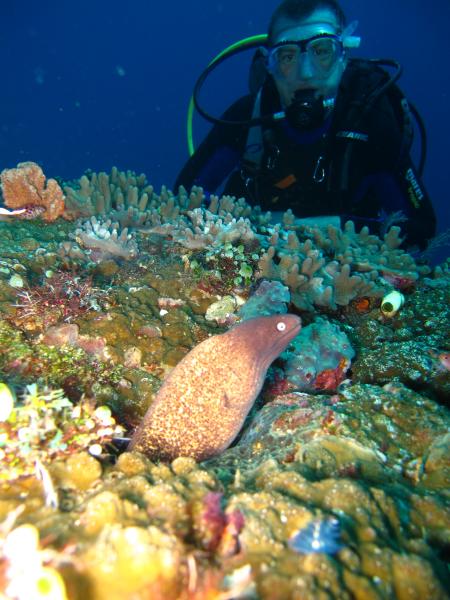 Abwonderdive Dive Resort  Small Lalaguna Puerto Galera.,Philippinen