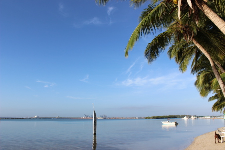 ASOBUCA - Hotel Dominican Bay - Caribbean Divers,Dominikanische Republik