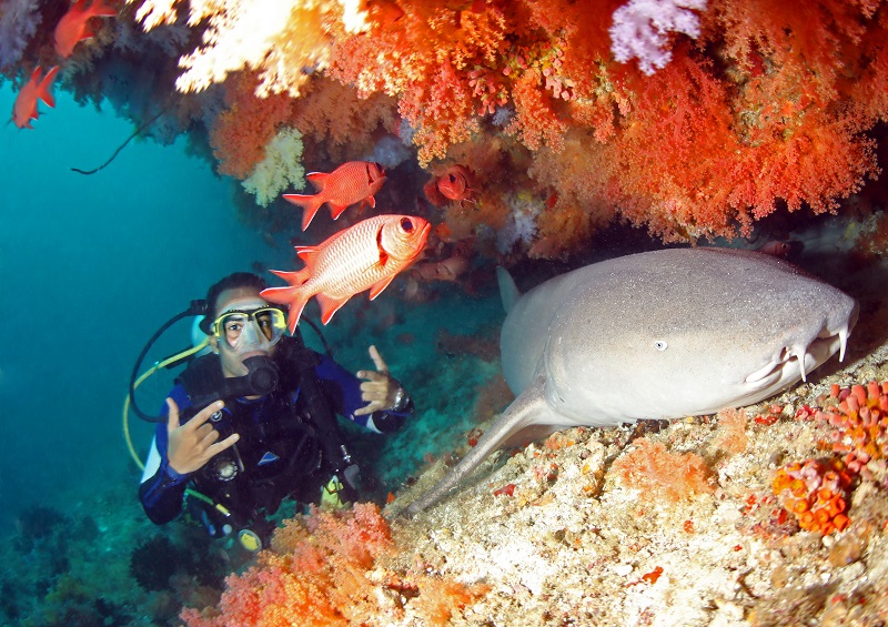 Euro-Divers Club Med Kani, Malediven