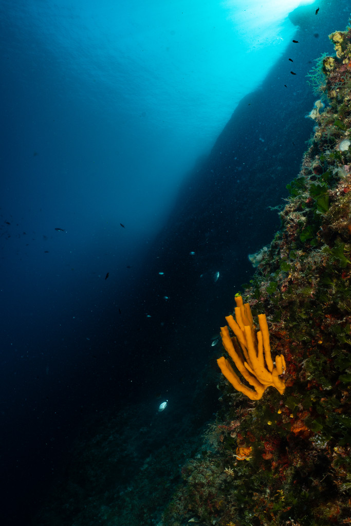 Punta Diving, Betina, Kroatien