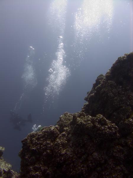 Buceo-Sub La Palma,Kanarische Inseln,Spanien