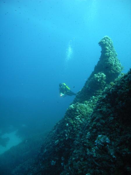 Mero Diving,Cala Ratjada,Mallorca,Balearen,Spanien