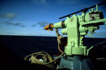 Islands Walfangflotte wieder unterwegs - Mark Votier