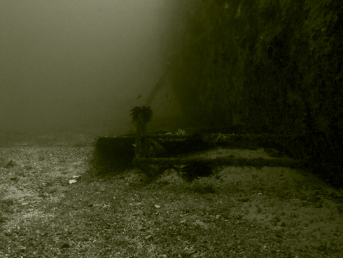 Sabang Wrecks und Almajane, Puerto Galera,Sabang,Philippinen