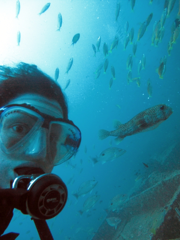 Igelfisch-Selfie ;-), Paradise Diving & Sea Bees Diving Nai Yang, Thailand, Andamanensee