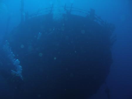 Jane Sea Wreck,Aruba