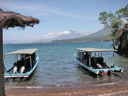 Critters@Lembeh - Lembeh Resort,North Sulawesi,Sulawesi,Indonesien