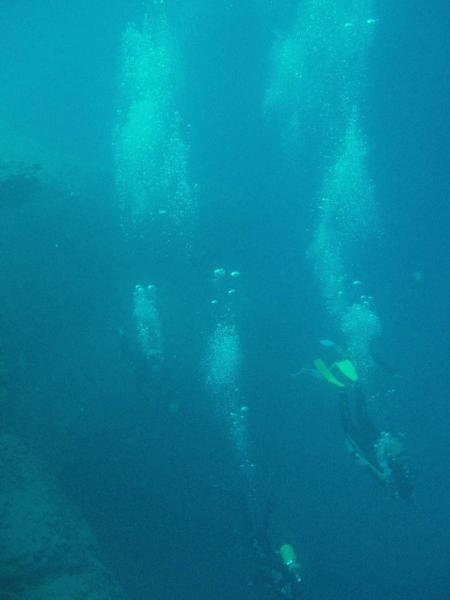 Easy-Diving Fuerteventura,Costa Calma,Kanarische Inseln,Spanien