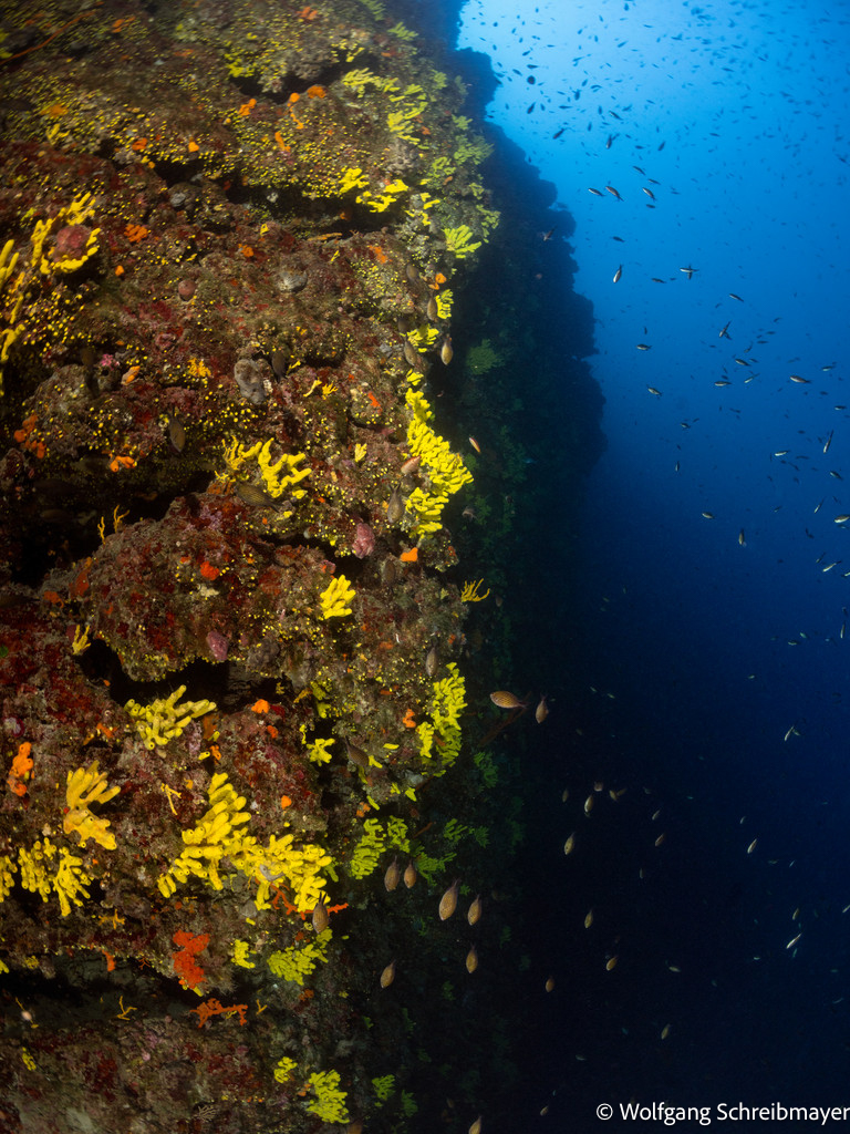 Punta Diving, Betina, Kroatien