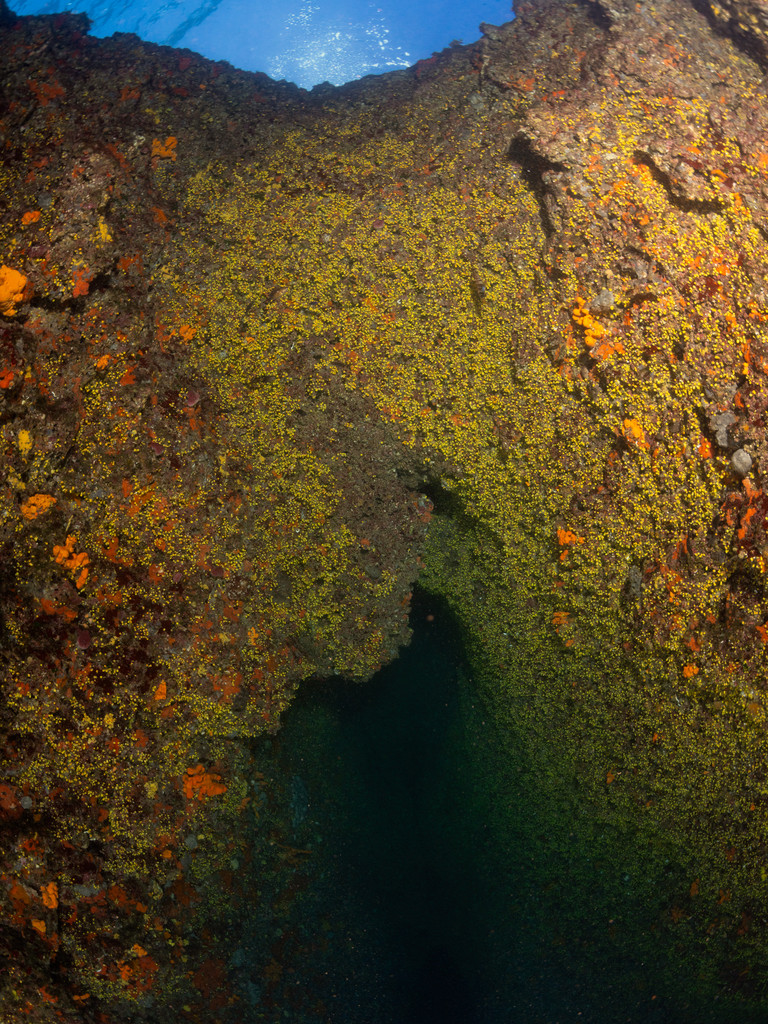 Punta Diving, Betina, Kroatien