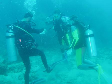 Calypso Diving,Koh Samui,Golf von Thailand,Thailand