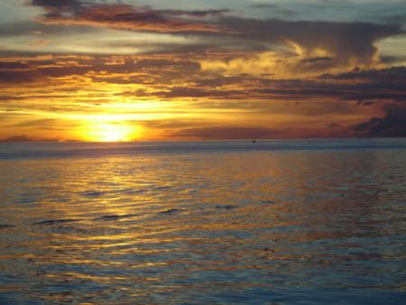 Calypso Diving,Koh Samui,Golf von Thailand,Thailand
