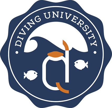 Diving-University, Diving-University, Eisenstadt, Österreich