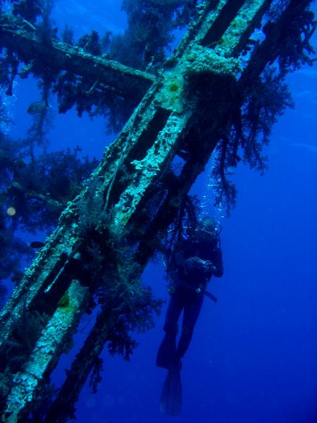 Yazan Alsaed´sYasmena Diving and Snorkeling Boat,Aqaba,Jordanien