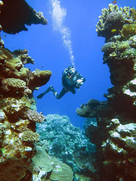 Wonderful Dive,Rohanou Resort,El Qusier,El Quseir bis Port Ghalib,Ägypten