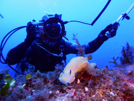 Scuba Activa,San Telmo,Mallorca,Balearen,Spanien