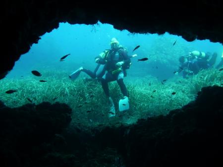 S´Algar Diving,S´Algar,Menorca,Balearen,Spanien