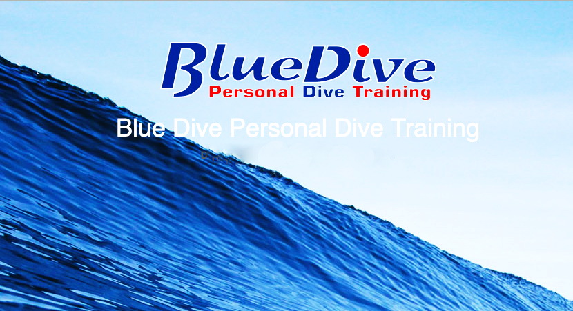 Blue Dive (Personal Dive Training), Hopfen am See/ Allgäu, Deutschland, Bayern