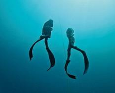 Utopian Freedivers