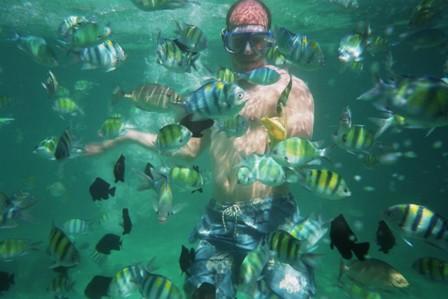 Calypso Diving,Koh Samui,Golf von Thailand,Thailand