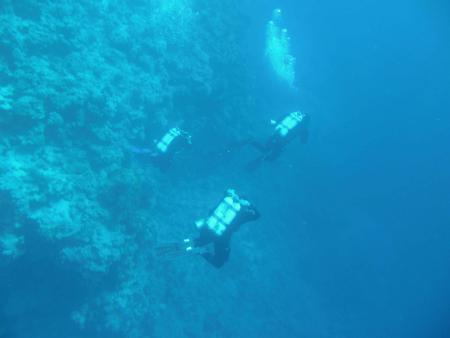 Blue Ocean Dive,Dahab,Sinai-Nord ab Dahab,Ägypten