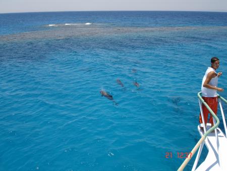Blue Brothers Diving,El Gouna,Hurghada,Ägypten