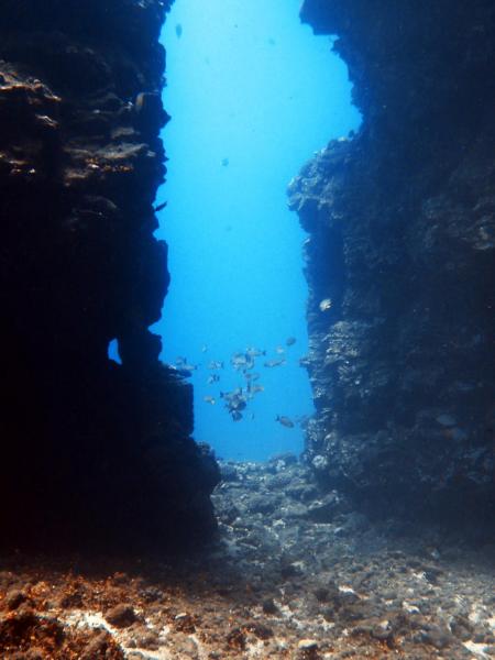 Lahaina Divers,Maui,Hawaii,USA