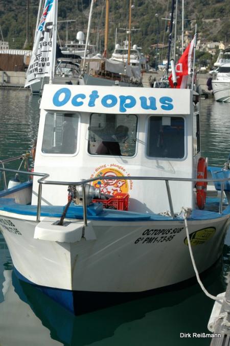 Octopus,Puerto de Sóller,Mallorca,Balearen,Spanien