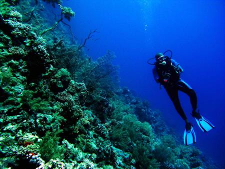 Extra Divers,Soma Bay,Safaga,Ägypten