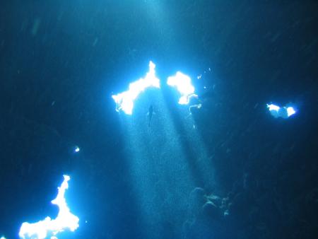 Bavaria Blue Diving,Hurghada,Ägypten