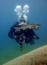 Vollgesichtsmaske Tauchen, Alexandra Schaef