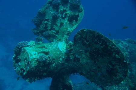 Paradise Divers,Sol y Mar Hotel,Safaga,Ägypten