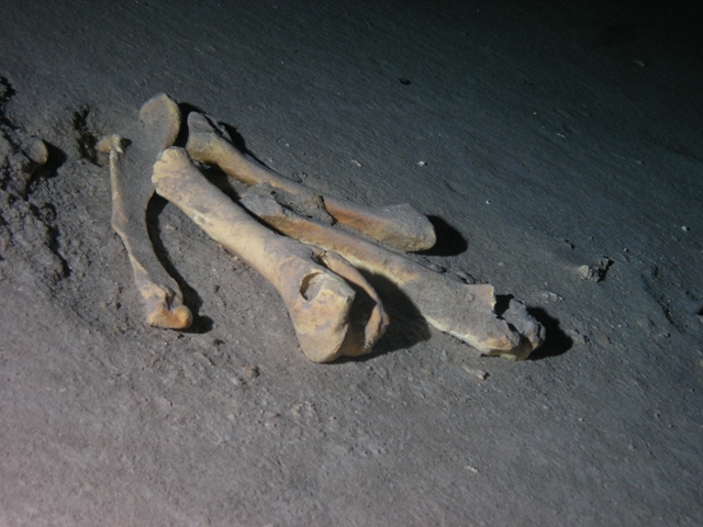 Tauchen in den Cenoten rund um Playa del Carmen, Cenoten gemischt (Cenoten Playa del Carmen,Tulum und Meer),Mexiko