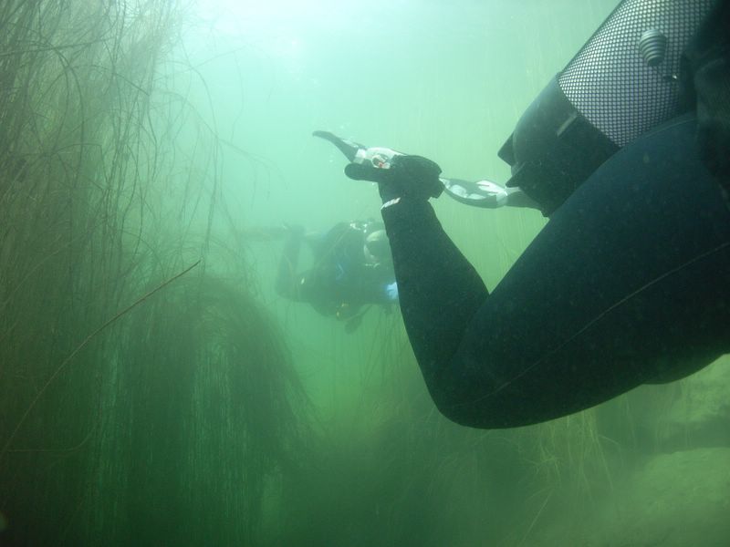 Untersuchung Fischweiher bei München, Fischweiher,München,Bayern,Deutschland