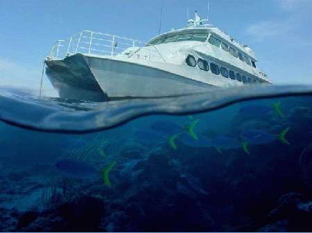 Oceania Dive,Airlie Beach,Australien