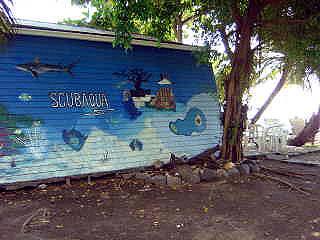 Scubaqua,Oranjestad,St. Eustatius,Niederländische Antillen