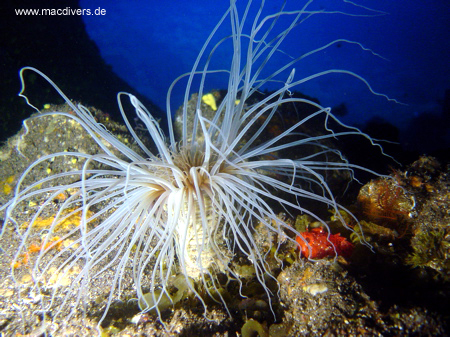 El Hierro, El Hierro,Spanien