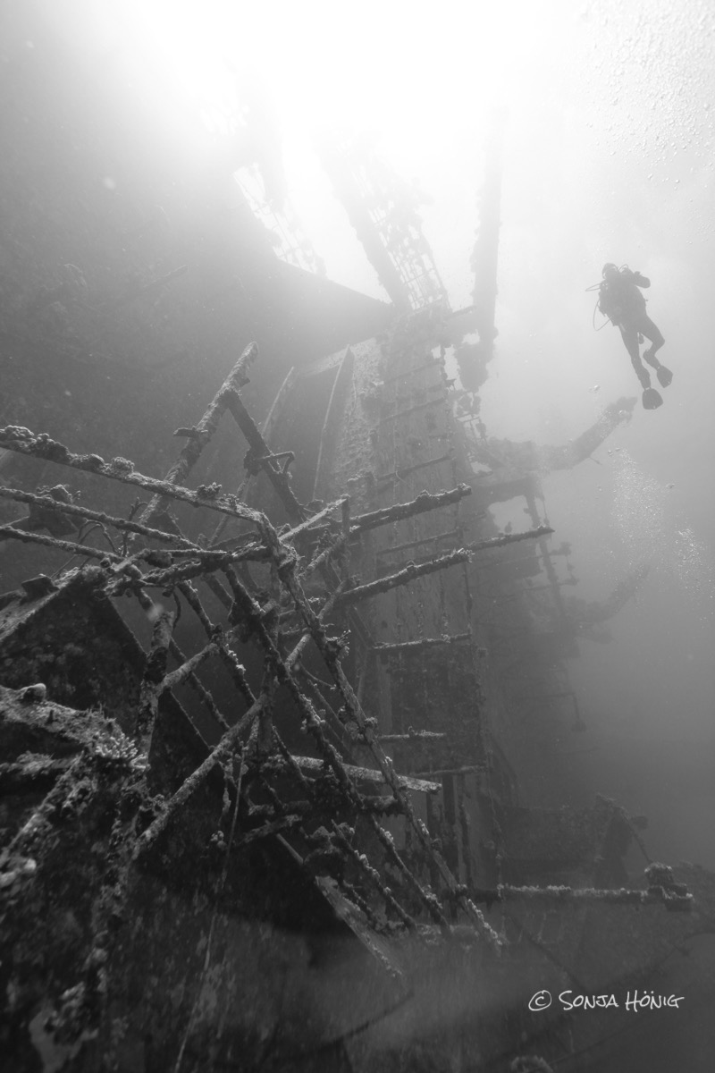 TG Wrack Salem Express, diving.DE Akassia, Ägypten, El Quseir bis Port Ghalib