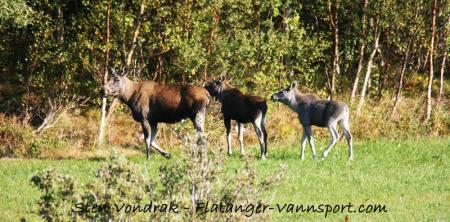 Flatanger Vannsport,Mittelnorwegen,Norwegen