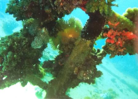Beachsafari Diving Camp Marsa Alam,Marsa Alam und südlich,Ägypten
