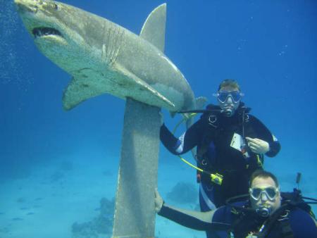 Mäggys Redsea-Divers-Hurghada,Hurghada,Ägypten