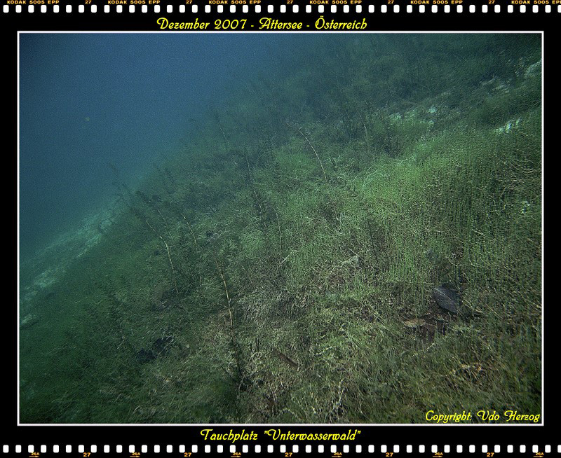 Attersee, UW-Wald, Attersee Unterwasserwald,Österreich