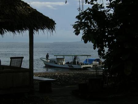 Murex Dive Resort,Manado,Sulawesi,Indonesien