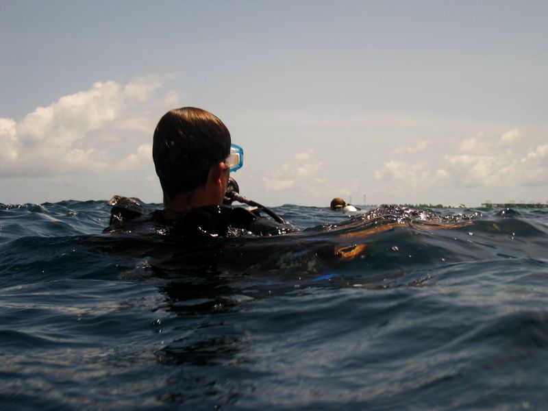 Vilu Reef, Sun Diving (Süd-Nilande-Atoll)