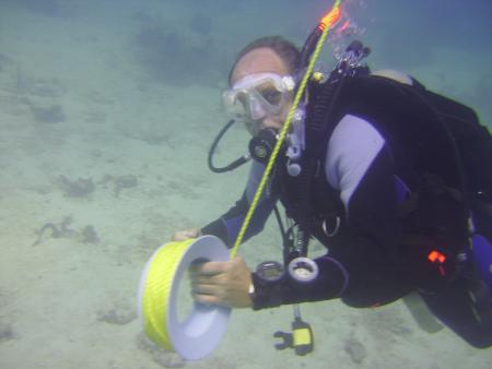 Scuba Pelicano,Isla Margarita,Juan Griego / Venezuela,Venezuela