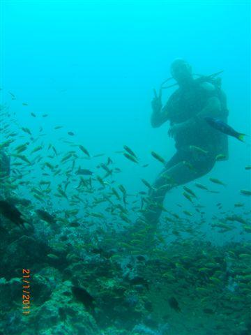 Phi Phi Scuba Diving Center - Phi Phi Island,Andamanensee,Thailand