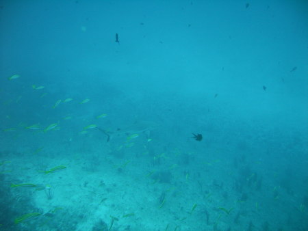 Bathala,Diving Center Werner Lau,Nord Ari Atoll,Malediven