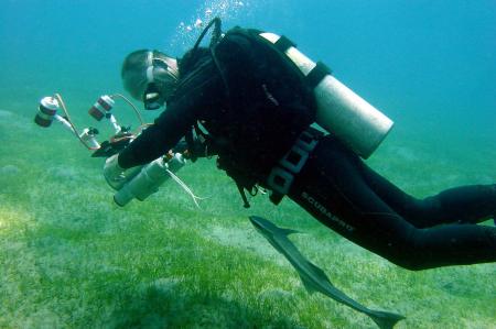 Beachsafari Diving Camp Marsa Alam,Marsa Alam und südlich,Ägypten