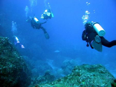 Atlantis Divers,Fernando de Noronha,Brasilien